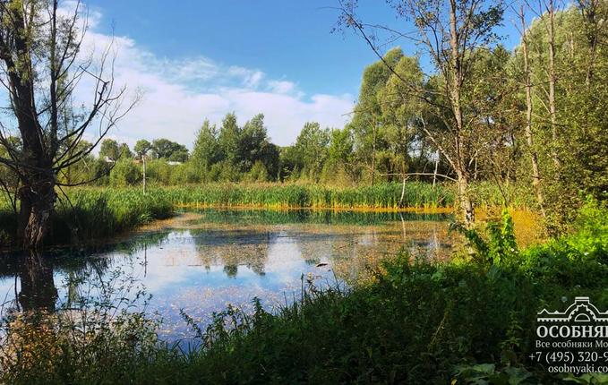 в Талицах, площадь 2136 м